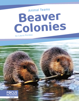 Paperback Beaver Colonies Book