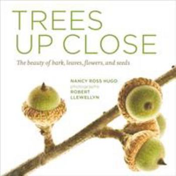 Trees Up Close: The Beauty of Their Bark, Leaves, Flowers, and Seeds