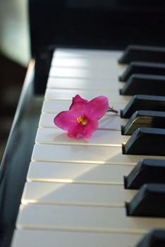 Paperback Pink Flower on the Piano Keys Music Journal: 150 Page Lined Notebook/Diary Book