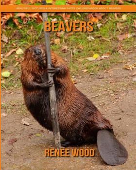 Paperback Beavers: Beautiful Pictures & Interesting Facts Children Book About Beavers Book