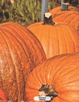 Photo-Stock Notizbuch: Garten Kürbis  Tagebuch Journal 150 Seiten liniert | Notizbuch im A4 Format | mattes Softcover (German Edition)