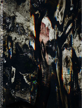 Paperback Maya Rochat: Crystal Clear Book