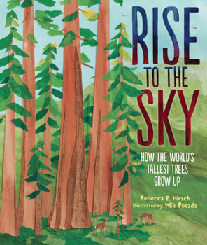 Hardcover Rise to the Sky: How the World's Tallest Trees Grow Up Book