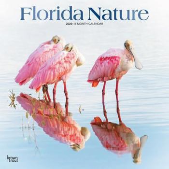 Calendar Florida Nature 2020 Square Foil Book