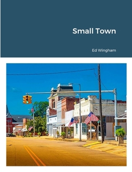Paperback Small Town Book