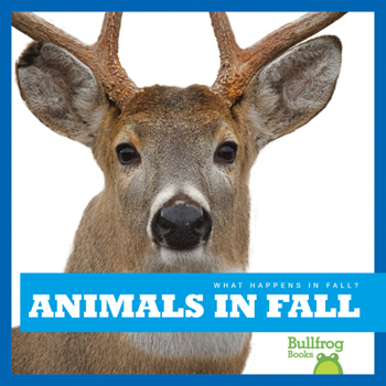 Animals in Fall - Book  of the What Happens in Fall?