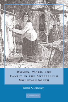 Hardcover Women, Work, and Family in the Antebellum Mountain South Book