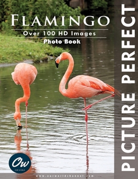 Paperback Flamingo: Picture Perfect Photo Book