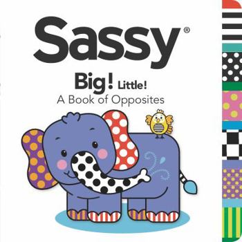 Board book Sassy Big! Little!: A Book of Opposites Book