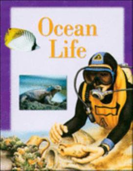 Paperback Ocean Life: Set 2 (Explorers) Book