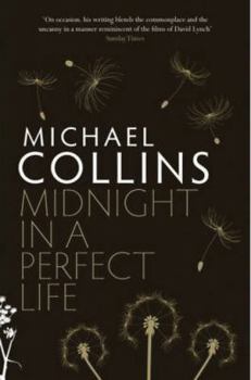Paperback Midnight In A Perfect Life Book