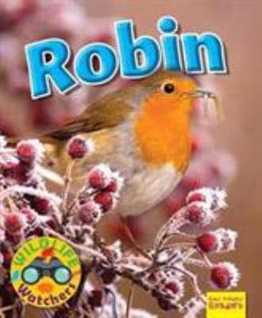 Paperback Wildlife Watchers: Robin (Ruby Tuesday Readers) Book
