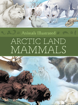 Hardcover Animals Illustrated: Arctic Land Mammals Book