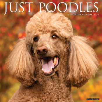 Calendar Just Poodles 2024 12 X 12 Wall Calendar Book
