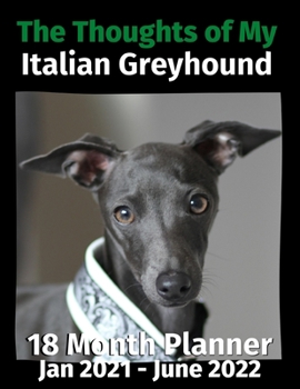 Paperback The Thoughts of My Italian Greyhound: 18 Month Planner Jan 2021-June 2022 Book