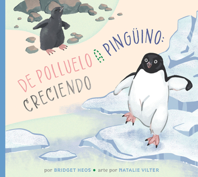 Library Binding de Polluelo a Pingüino: Creciendo [Spanish] Book