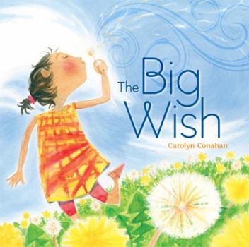 Hardcover The Big Wish Book