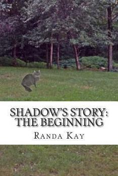 Paperback Shadow's Story: The Beginning Book