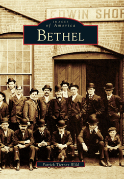 Paperback Bethel Book