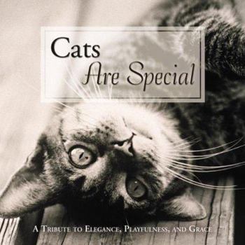 Hardcover Cats Are Special: A Tribute to Elegance, Playfulness, and Grace Book