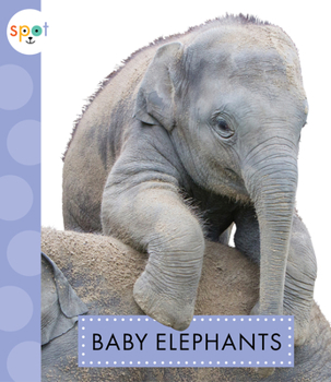 Paperback Baby Elephants Book