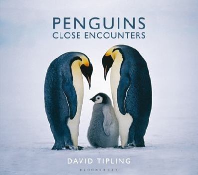 Hardcover Penguins Book