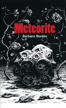 Paperback Meteorite Book