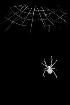 Notebook: Spider Web Creepy Spiders Tarantula Halloween Spiderwebs Black Lined Journal Writing Diary - 120 Pages 6 x 9