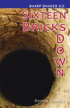 Paperback Sixteen Bricks Down [Unknown] Book