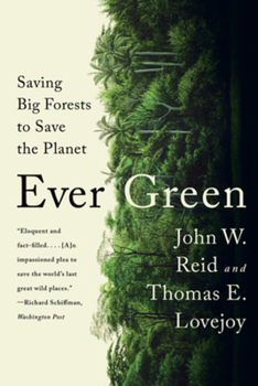 Paperback Ever Green: Saving Big Forests to Save the Planet Book