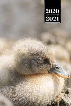 Duck Geese Goose Mallard Duckling Week Planner Weekly Organizer Calendar 2020 / 2021 - Very Tired: Cute Wildlife Animal Pet Bullet Journal Notebook Diary in 6” x 9” Inch Pocket Size