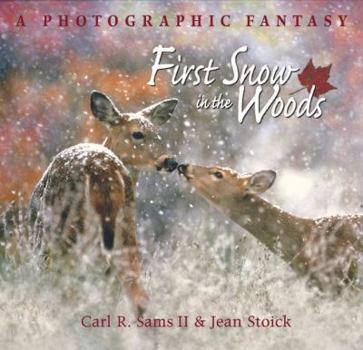 Hardcover First Snow in the Woods: A Photographic Fantasy Book