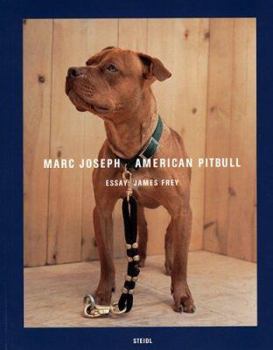 Paperback Marc Joseph: American Pitbull Book