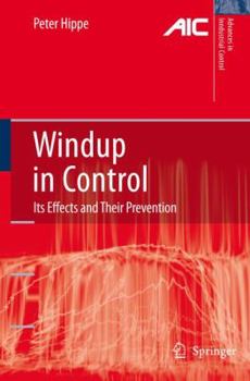 Paperback Windup in Control: Its Effects and Their Prevention Book
