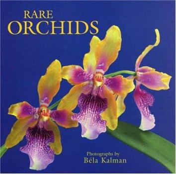 Hardcover Rare Orchids Book