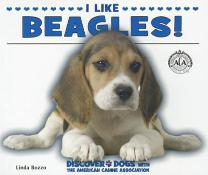 Paperback I Like Beagles! Book