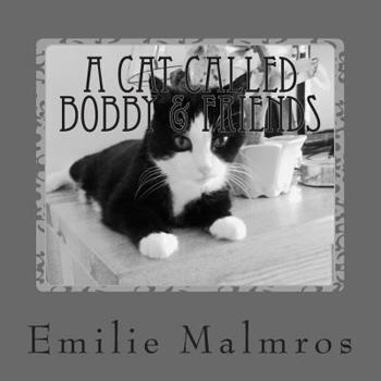 Paperback A Cat Called Bobby & Friends: He Came One Rainy Day... Book