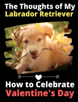 The Thoughts of My Labrador Retriever: How to Celebrate Valentine's Day