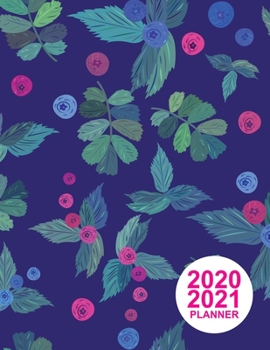 Paperback 2020 2021 Planner: Simple Colorful Design Book, 8.5" x 11" Two Year 2020-2021 Calendar Planner, Monthly Schedule Organizer (24 Months Act Book