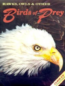 Hardcover Hawks, Owls & Other Birds of Prey Book