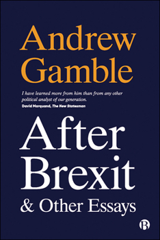 Paperback After Brexit and Other Essays Book