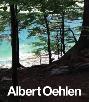 Hardcover Albert Oehlen: New Paintings Book