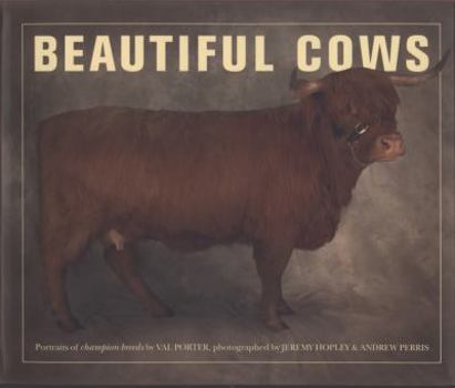 Paperback BEAUTIFUL COWS /ANGLAIS Book