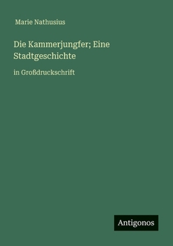 Die Kammerjungfer; Eine Stadtgeschichte: in Großdruckschrift (German Edition)