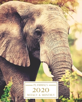 Paperback 2020: Weekly and Monthly Planner/Calendar Jan 2020 - Dec 2020 Serene Elephant Book