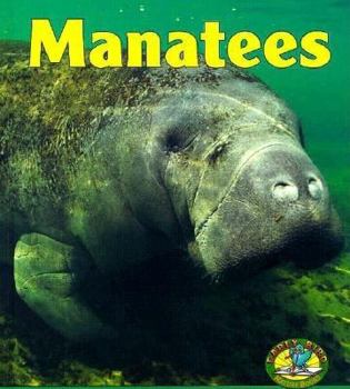 Hardcover Manatees Book