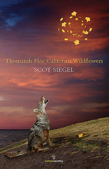 Paperback Thousands Flee California Wildflowers Book