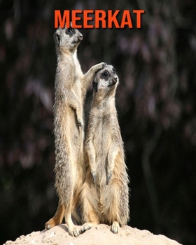 Paperback Meerkat: Amazing Facts about Meerkat Book