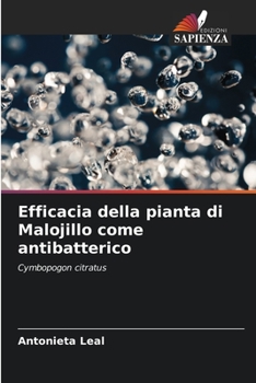 Efficacia della pianta di Malojillo come antibatterico (Italian Edition)