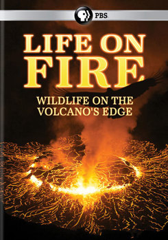 DVD Life on Fire: Wildlife on the Volcano's Edge Book